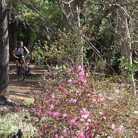 Cheerio Trout Fishing & Holiday Resort Tzaneen Εξωτερικό φωτογραφία