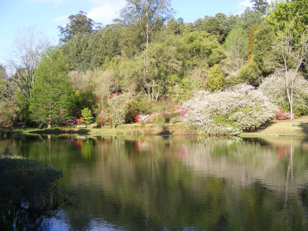 Cheerio Trout Fishing & Holiday Resort Tzaneen Εξωτερικό φωτογραφία